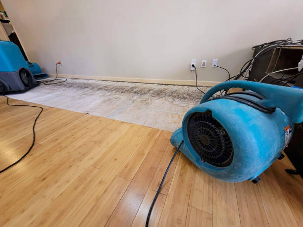 Professional Water Damage Repair technician working in Fulton, CA